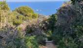 Tour Wandern Ramatuelle - Ramatuelle - de Bonne Terrasse au Rocher des Portes en passant par le phare - Photo 11