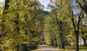 Excursión A pie okres Liptovský Mikuláš - Náučný chodník k minerálnemu prameňu - Photo 3