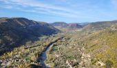 Tocht Stappen Le Rozier - les corniches du Méjean (la Jonte) - Photo 19