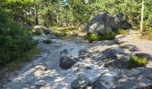 Tour Wandern Milly-la-Forêt - Milly-la-Forêt - Forêt domaniale des Trois pignons - Curiosités  - Photo 17