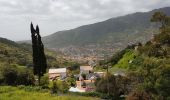 Excursión Senderismo Machico - Madère : du tunnel de Caniçal à Porto da Cruz - aller en bus - Photo 3