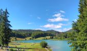 Tour Wandern Charix - lac de genin - bretouze /  retour - Photo 1