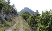 Tour Wandern Pradelle - Pradelle - Vallée de la Roanne - Photo 3