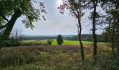 Tocht Stappen Philippeville - Balade de Roly à Villers-en-Fagne - Photo 18