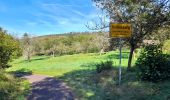 Tocht Te voet Wettin-Löbejün - Rundweg Nußgrund Tannengrund Rothenburg - Photo 9