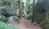 Tour Wandern Echternach - mullerthal rando E1 . echternach . berdorf . echtrnach . via gorge du loup - Photo 17