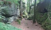 Trail Walking Echternach - mullerthal rando E1 . echternach . berdorf . echtrnach . via gorge du loup - Photo 17