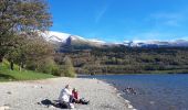 Tour Wandern Laffrey - Tour du Grand Lac de Laffrey en circuit - Photo 3