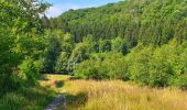 Tocht Stappen Gedinne - Balade à Bourseigne-Neuve - Gedinne - Photo 5