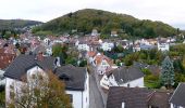 Percorso A piedi Lindenfels - Rundwanderweg Lindenfels 1: Wanderung nach Winterkasten - Photo 9