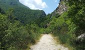 Excursión A pie Valle Castellana - Ripe/Macchie da Sole - Photo 5