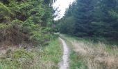 Tour Wandern Eupen - Fagne frontiere - Photo 8