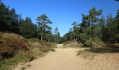 Tocht Te voet Leck - Historischer Westlicher Ochsenweg und Langenberger Forst - Photo 1