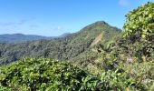 Excursión Senderismo Le Lorrain - Boucle Morne Jacob - Photo 10