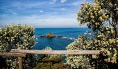 Trail On foot Piombino - IT-302 - Photo 10