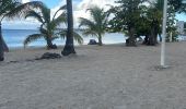 Trail Trail Sainte-Anne - Bira fouchÃ© - Photo 1