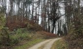 Trail On foot Buch am Irchel - Ober Buch am Irchel - Irchel Hochwacht - Photo 7