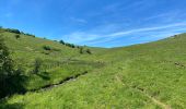 Trail Walking Recoules-d'Aubrac - Au temps des fleurs et des genêts - Photo 18