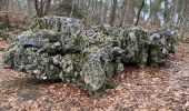 Tocht Stappen Fontainebleau - Sentier Denecourt n2 - Photo 6