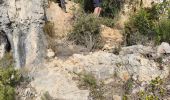 Tocht Stappen Ollioules - Cap Gros-Les Grottes du Croupatier- Oppidum de la Courtine - Photo 1