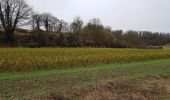 Excursión Senderismo Les Authieux-sur-le-Port-Saint-Ouen - 20190105 les Authieux  - Photo 4