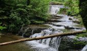 Trail Walking Menétrux-en-Joux - cascades du hérisson- Menetrux en Joux - Photo 13