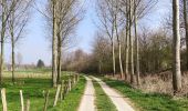 Trail Walking Tongeren - Promenade de la beauté cachée à Lauw  - Photo 4