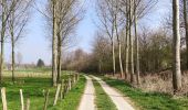 Percorso Marcia Tongeren - Promenade de la beauté cachée à Lauw  - Photo 4