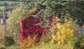 Tocht Stappen Houyet - Natuur - Houyet - Op ontdekking van de Lesse en de Naaldrotsen van Chaleux - Photo 2