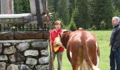 Trail On foot San Pietro di Cadore - IT-158 - Photo 1