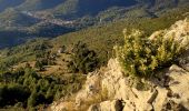Trail Walking Le Revest-les-Eaux - Boucle Ripelle - Mont Combes - Tourris - Ripelle - Photo 5