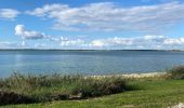 Trail  Giffaumont-Champaubert - Lac du der marne - Photo 4