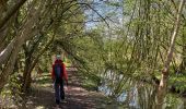 Trail On foot Lasne - Lasne pepere - Photo 3