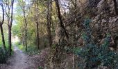 Tocht Stappen Villes-sur-Auzon - entre Auzon et le GR du massif du Ventoux - Photo 14