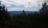 Tour Wandern Mühlbach an der Breusch - Le Jardin des Fées par la cascade de Soulzbach - Photo 18