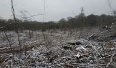 Randonnée Marche Maraye-en-Othe - Les Boulins - Photo 4