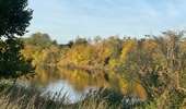 Trail Walking Ports-sur-Vienne - Ports sur Vienne - Photo 1