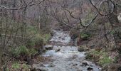 Trail Walking Malmedy - Cascade de Bayehon  - Photo 11