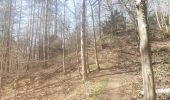 Trail Walking Esneux - parc du Mary.  rond bâti . anc carrière.  arboretum . parc du mary  - Photo 16