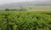 Tocht Stappen Mendionde - le mont baïgura  - Photo 2