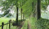 Tocht Stappen Monschau - rando kalterherberg-rocher bieley 11/08/2021 - Photo 10