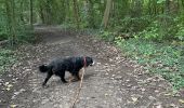 Tocht  Ostwald - Promenade Tayla  - Photo 4