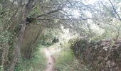 Randonnée Marche Reynès - Reynès, chemin des mas ... pas terrible  - Photo 10