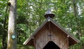 Trail Walking Dambach-la-Ville - Sommets et rochers - Photo 2