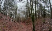 Trail Walking Souligny - Souligny - Photo 1