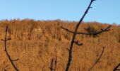 Tour Wandern Badaroux - Pelgeires,le Born la Rouviere  - Photo 1