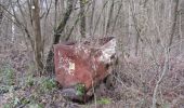 Tour Zu Fuß Saarbrücken - Wilder Netzbachpfad - Photo 9