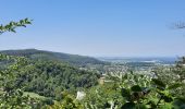 Tour Wandern Pfirt - Ferrette ,château, grotte des nains,rossberg - Photo 3