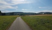 Tour Zu Fuß Werbach - Liebliches Taubertal – Rundwanderweg 7 – Muschelkalk und Orchideen - Photo 9