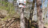 Tour Wandern Urbach bei Kaysersberg - CVL - Rando 25/03/2024 - Col de Chamont - Photo 6